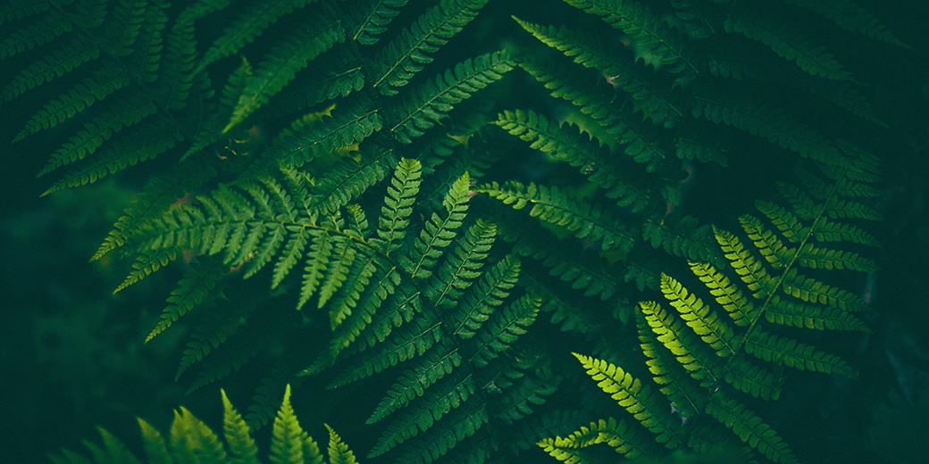 Jupiter hires HSBC heavyweight as sustainability head - Vimarsana News