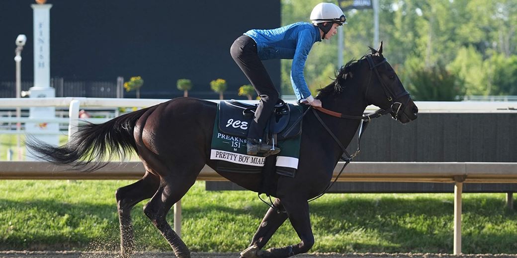 Dynasty CEO Shirl Penney's horse to compete in Preakness Stakes