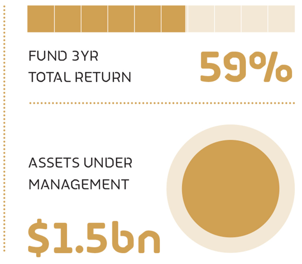 Making bank: The biggest and best financial funds