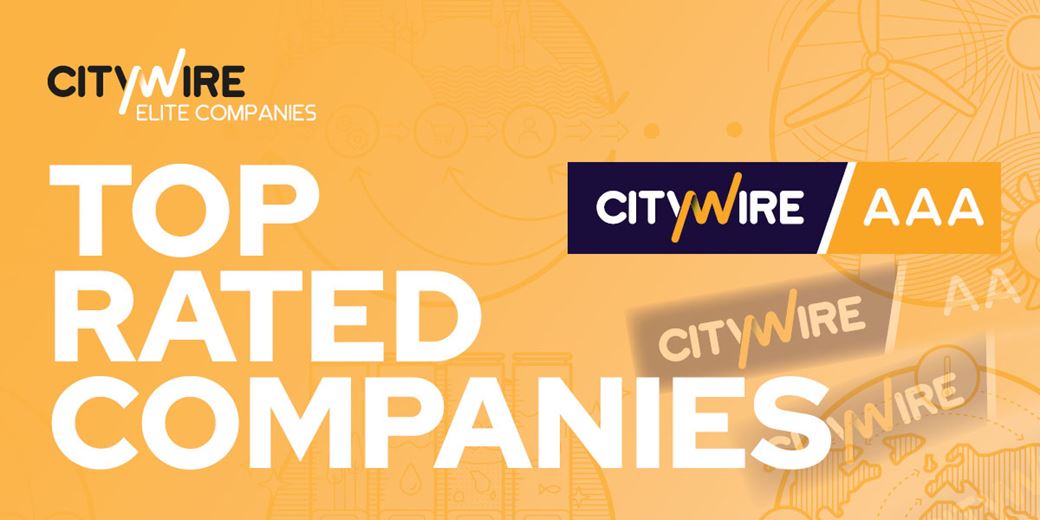 Elite Companies  Citywire Selector