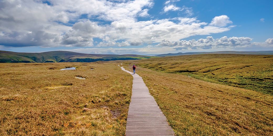 Blog: Orphan clients mean we need trail commission transition