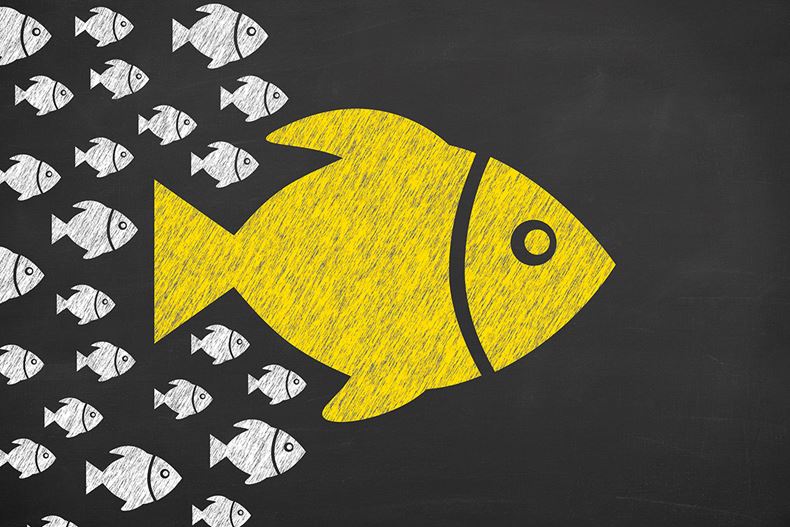 Inside a wealth manager's typical working week