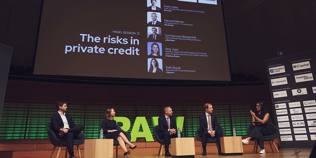 Private credit risks a year on from Dimon's 'cockroaches' | Citywire ...