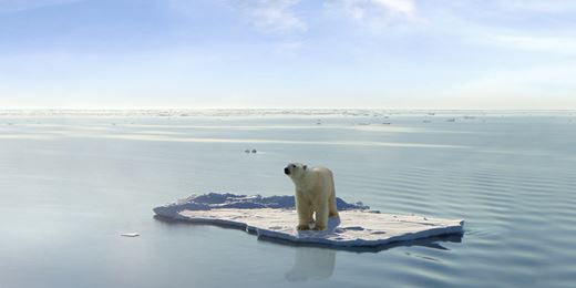 Lbpam Isr Actions Environnement La Banque Postale Asset Management Fund Fact Sheet Citywire