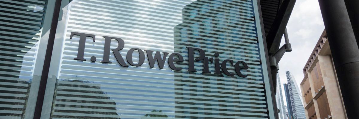 T Rowe Price Large Cap Growth Mutual Fund