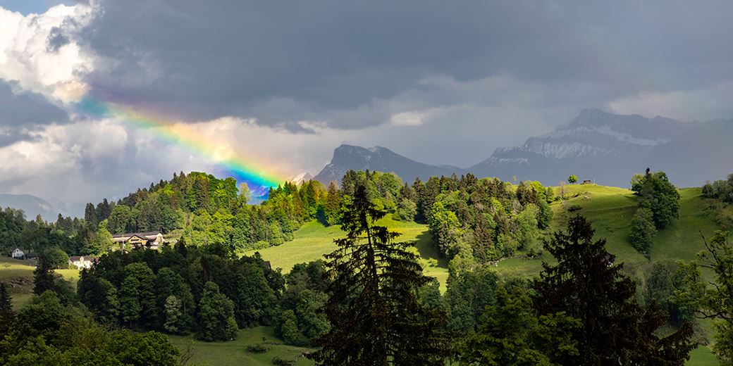 Bürgenstock: Selector appetite for active ETFs drops