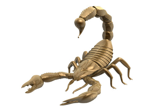 демон скорпион. кабан скорпион мужчина. гороскоп женщина кабан свинья. кабан скорпион мужчина. скорпион цветной.