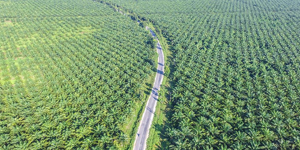 HSBC AM launches Article 8-compliant biodiversity tracker ETF - Vimarsana News