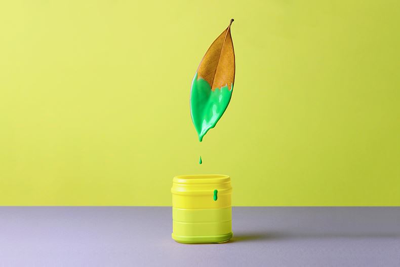 Dipping leaf in green paint
