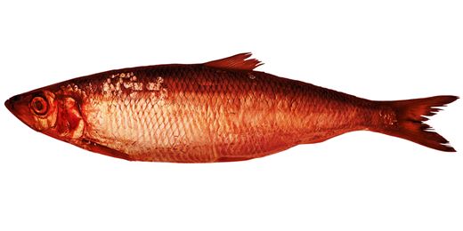 ImageDetail_f3d6f09d-bd05-4026-91d5-42beb6425404_Medium